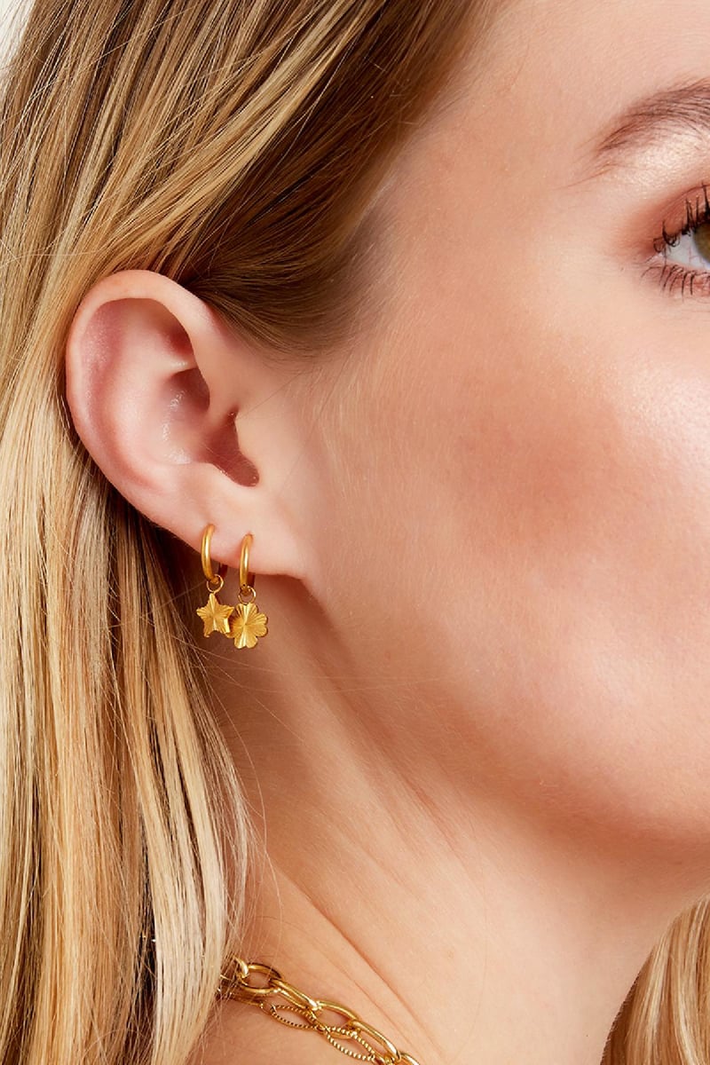 Stainles steel earrings star Gold Color Stainless Steel