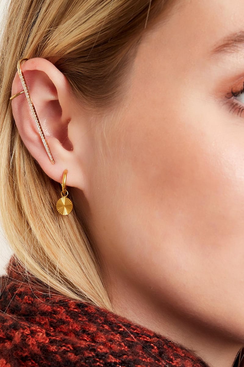 stainless steel earrings circle