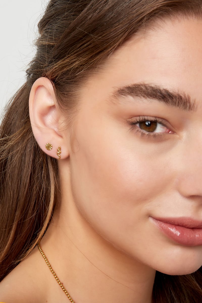 Ear plug snake - silver color Stainless Steel