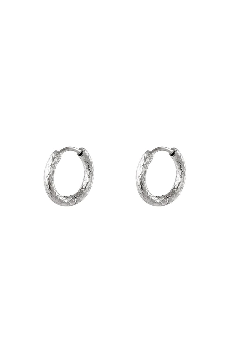 stainless steel hoop earrings
