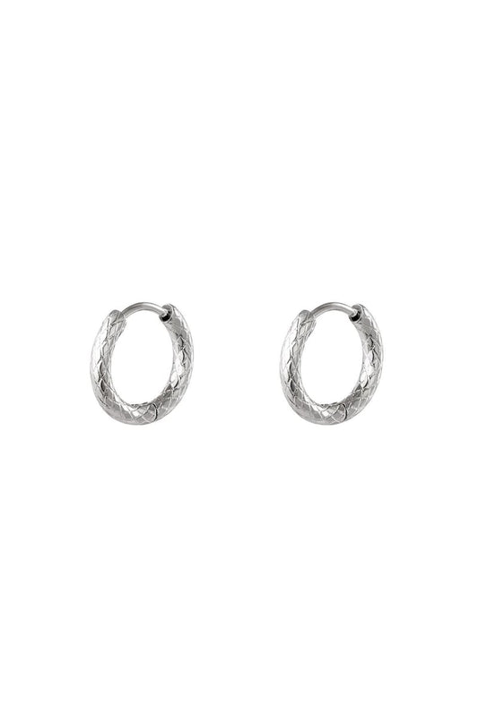 stainless steel hoop earrings