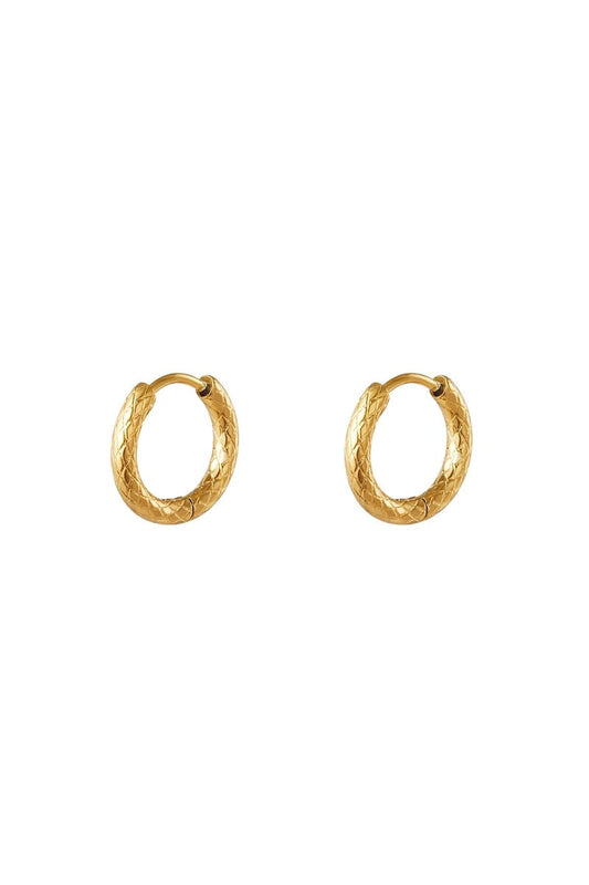 stainless steel hoop earrings
