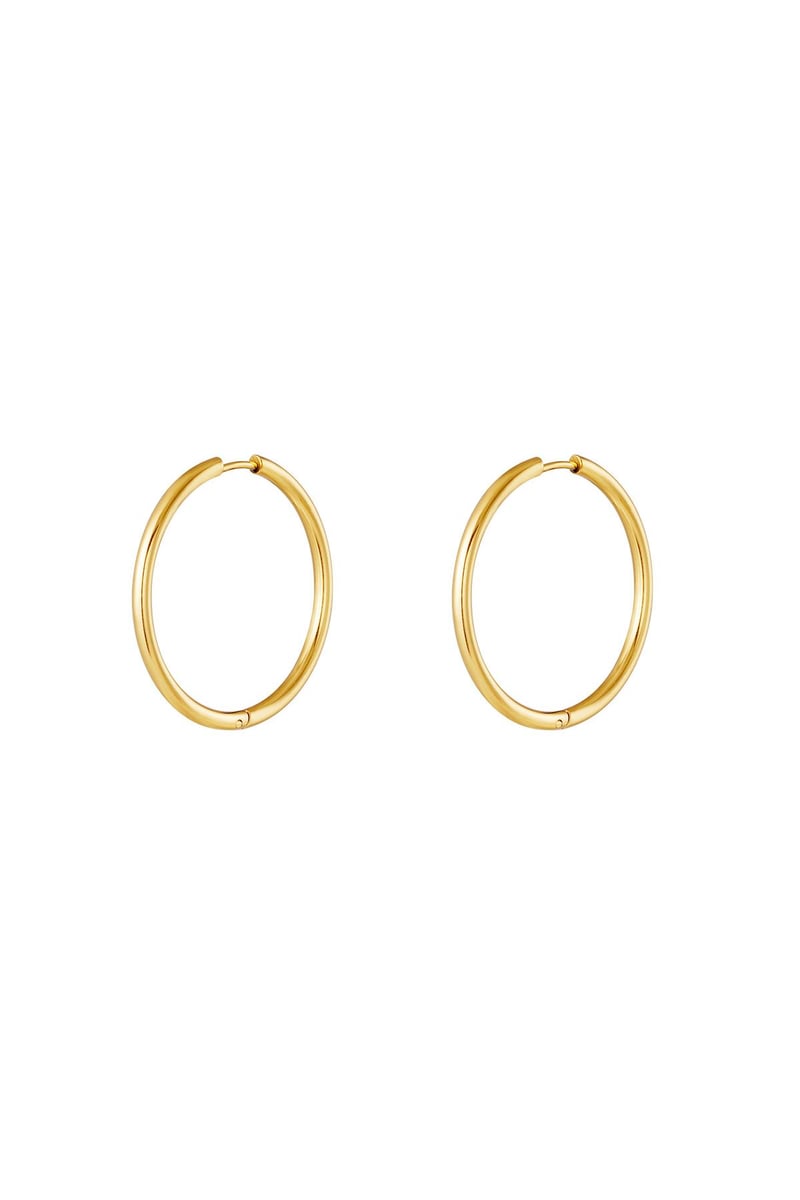 stainless steel earrings hoops small