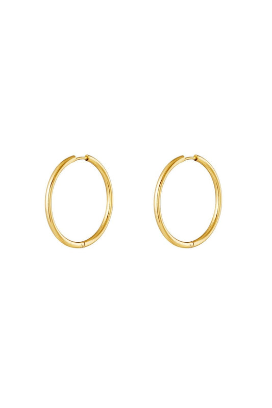 stainless steel earrings hoops small