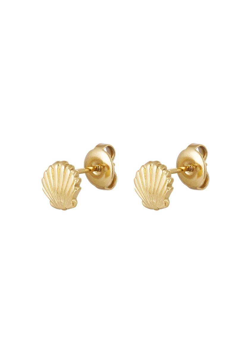 ear studs shell