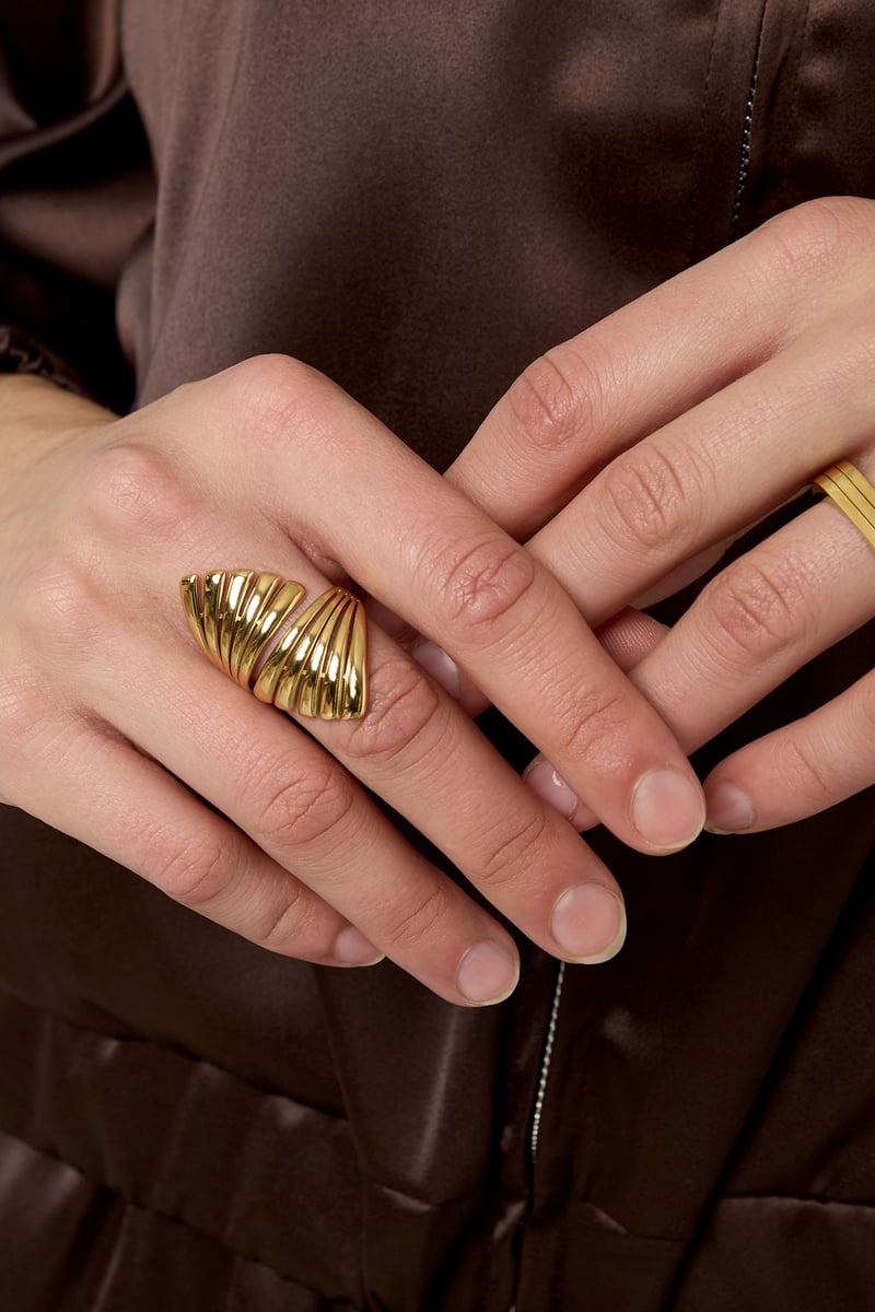 Stainless Steel Statement Rings irregular shape Casual Daily Simple Series Women's jewelry