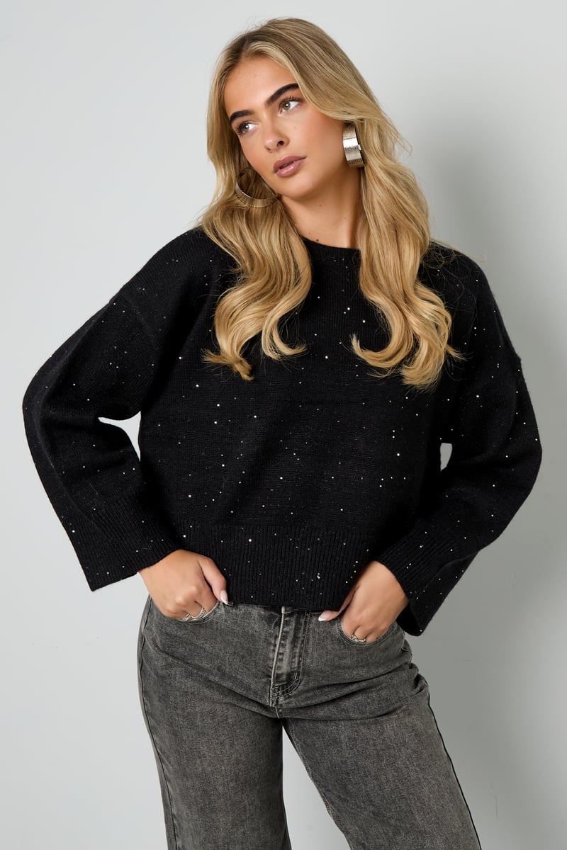 Sparkling Knit sweater