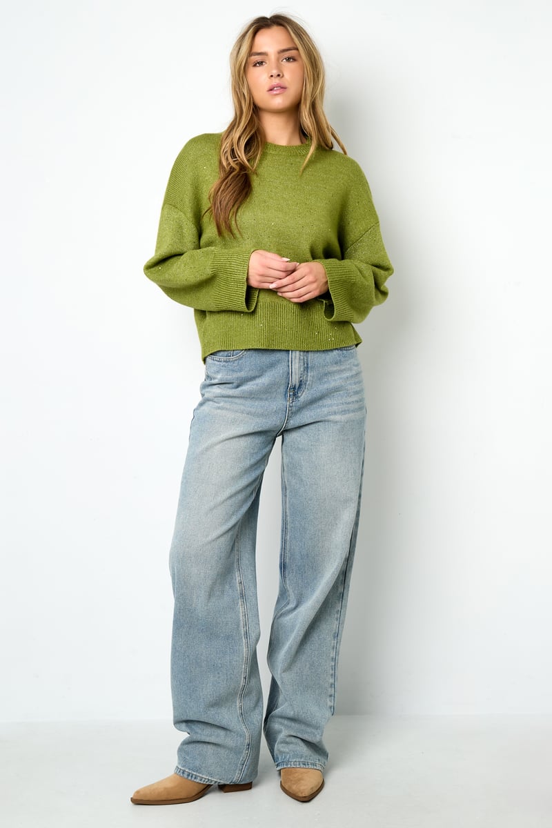 Sparkling Knit sweater