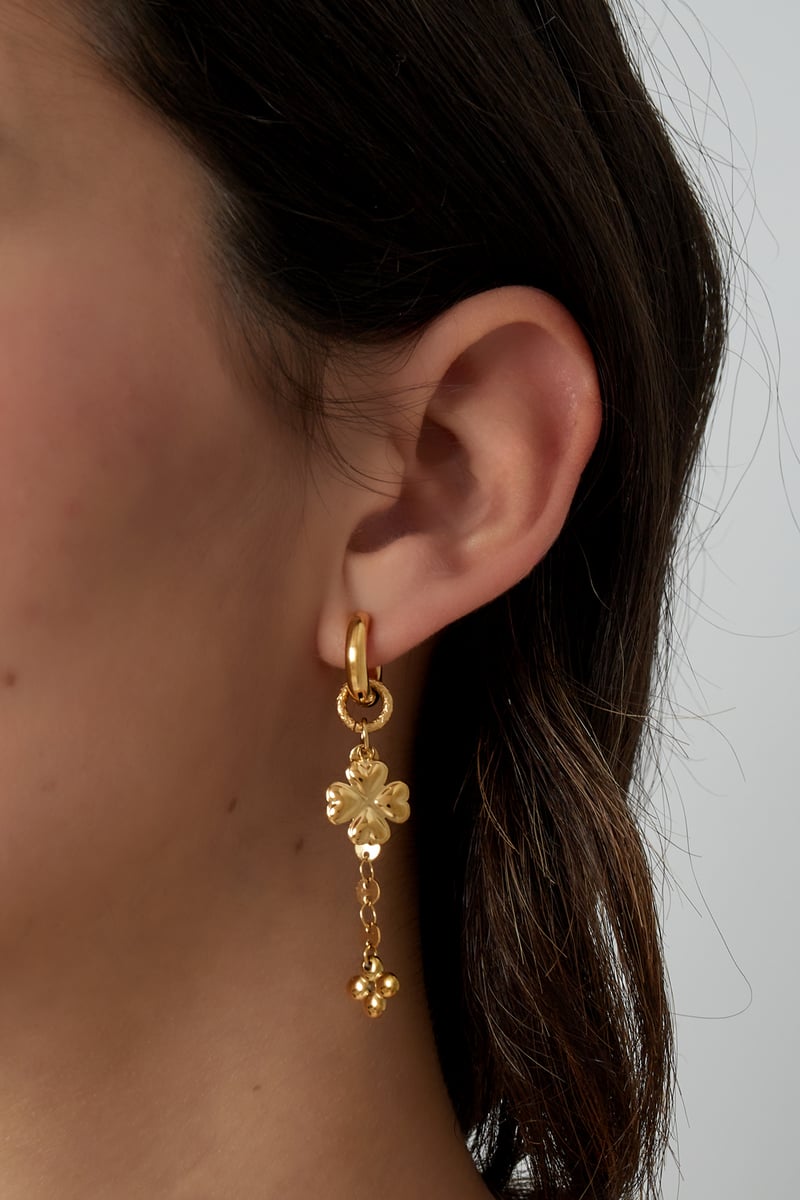 Earrings radiant rebel - Silver Color color