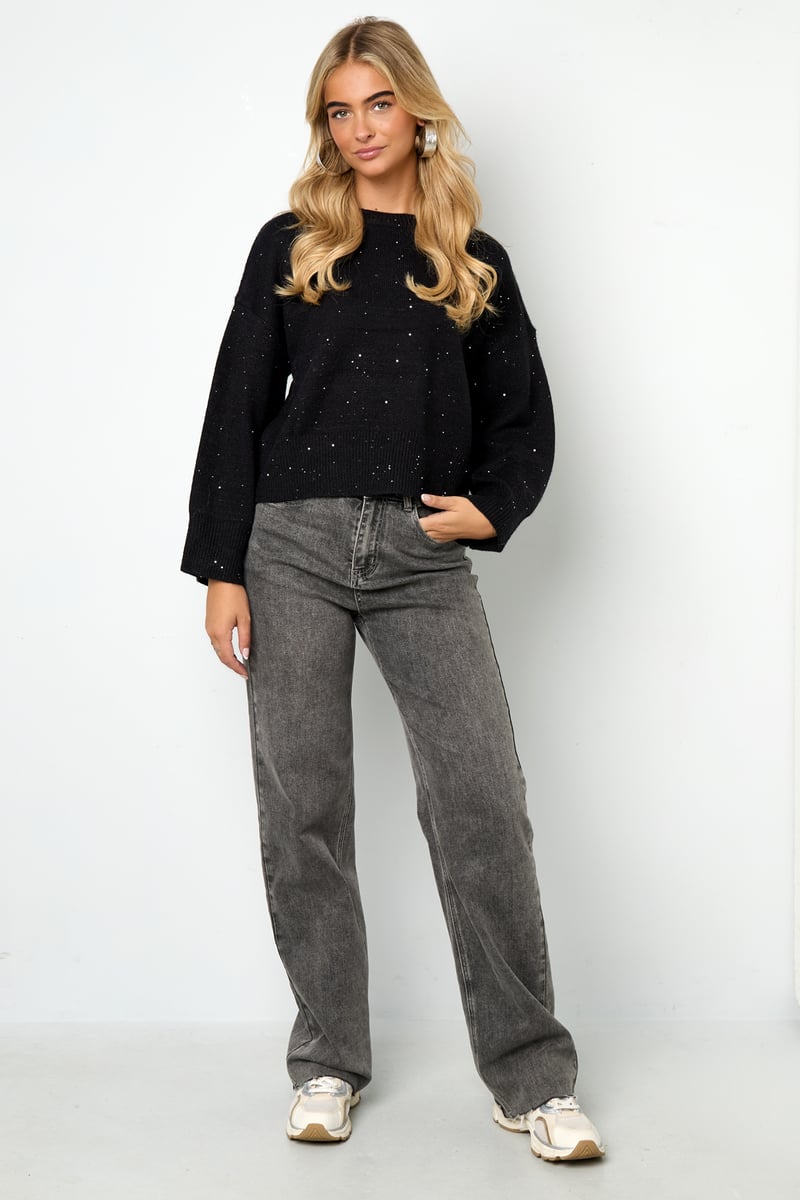 Sparkling Knit sweater