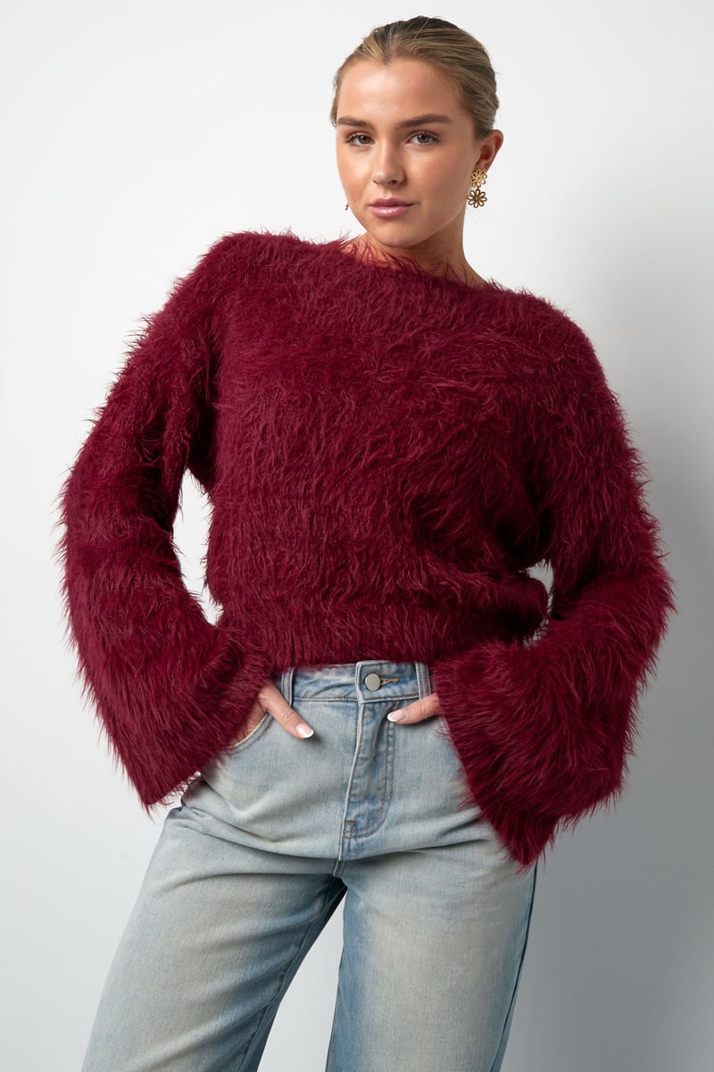 Fluffy finesse top - Burgundy