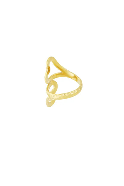 TWO HEARTS - RING