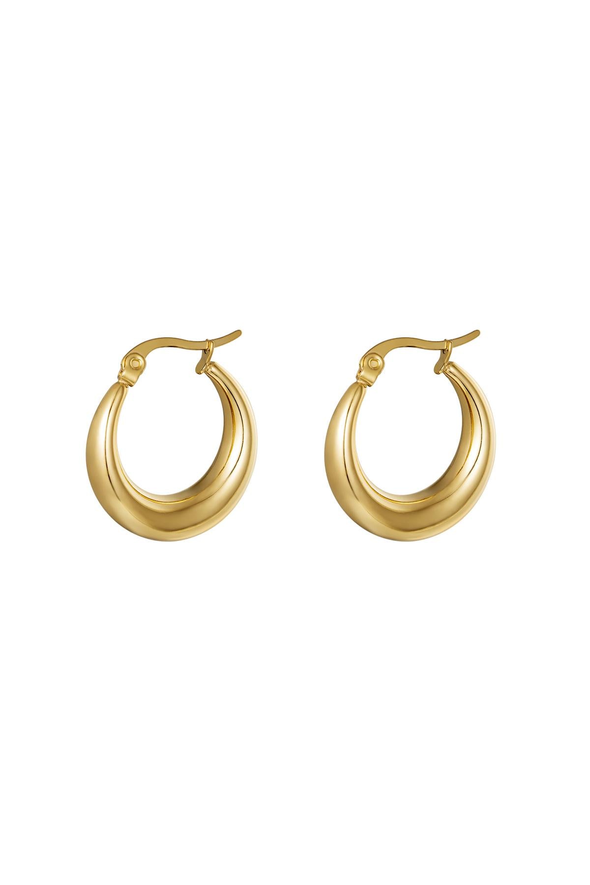 Earrings Arched Gold Color Stainless Steel