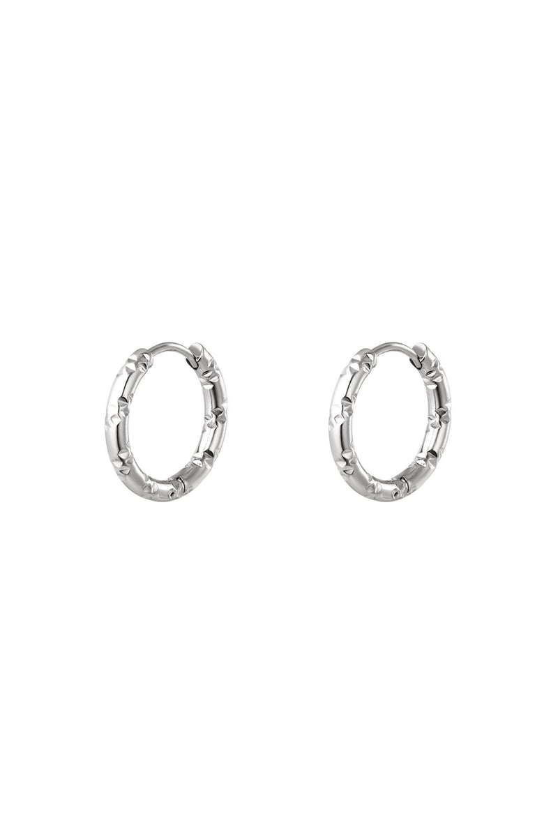 stainless steel hoop earrings
