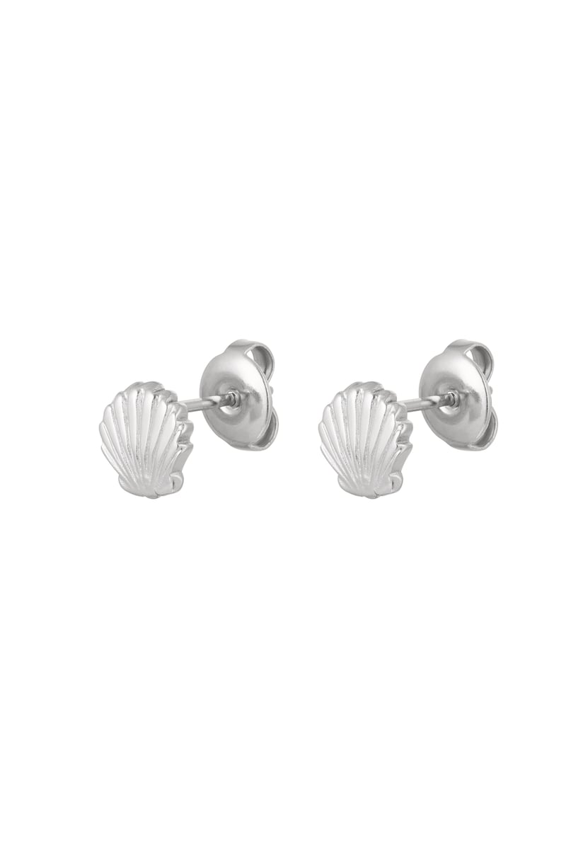 ear studs shell