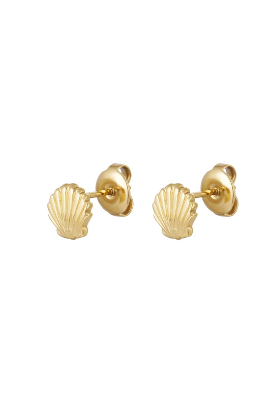 ear studs shell