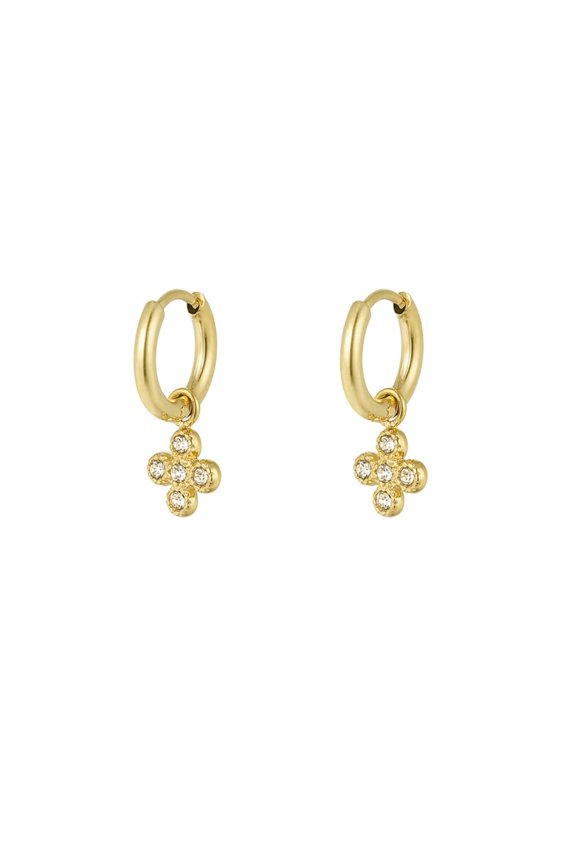 earrings clover class