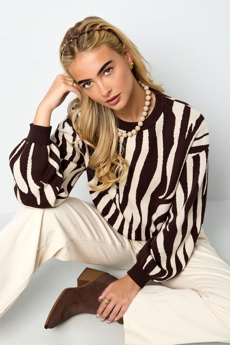 Knitted sweaters Zebra stripes Casual autumn/winter clothing