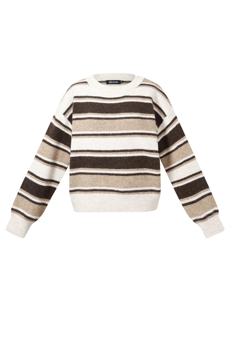 Polyester fiber (polyester) Knit sweaters Stripes Casual Fall/Winter  Clothes