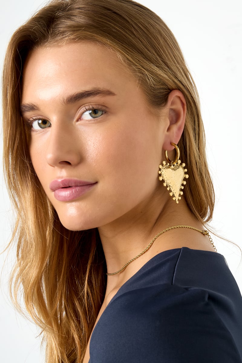 Stainless Steel Drop Earrings Heart Casual Daily Simple Series Women's jewelry