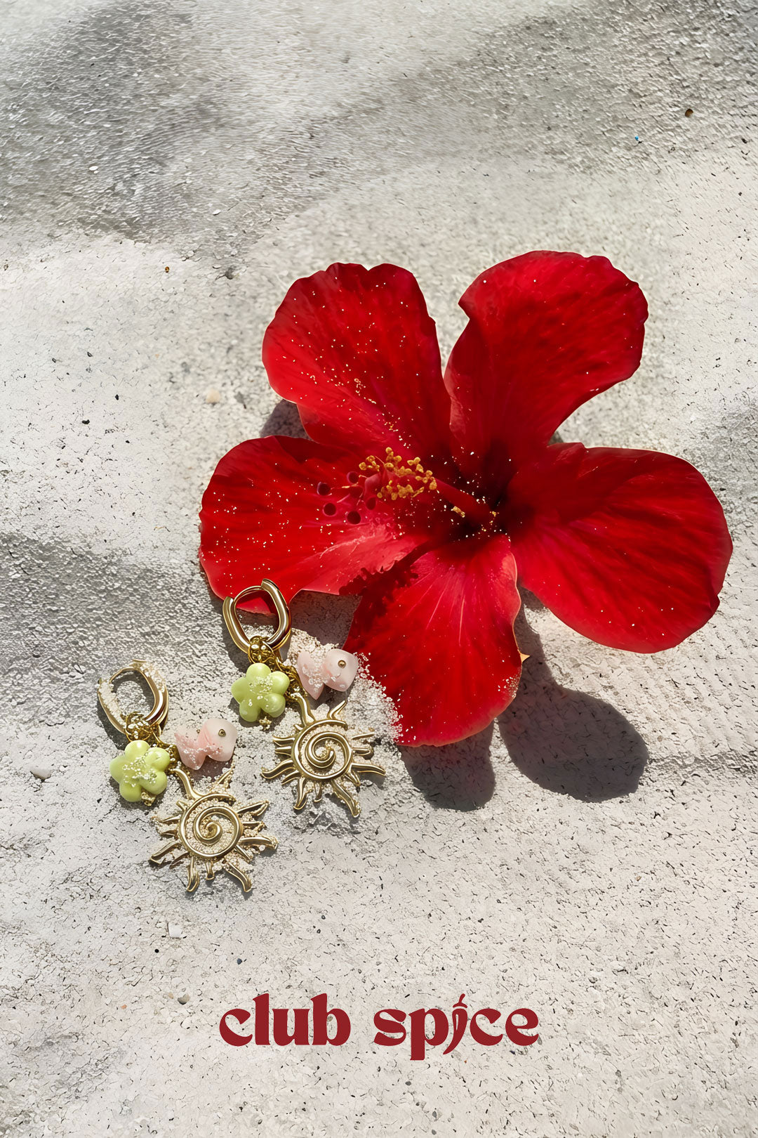 Stainless Steel Drop Earrings Flower Casual Holiday/Beach Romantic Series Women's jewelry