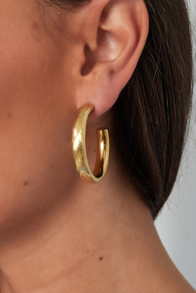   Hoop Earrings irregular shape Casual Daily Simple Series Women's jewelry