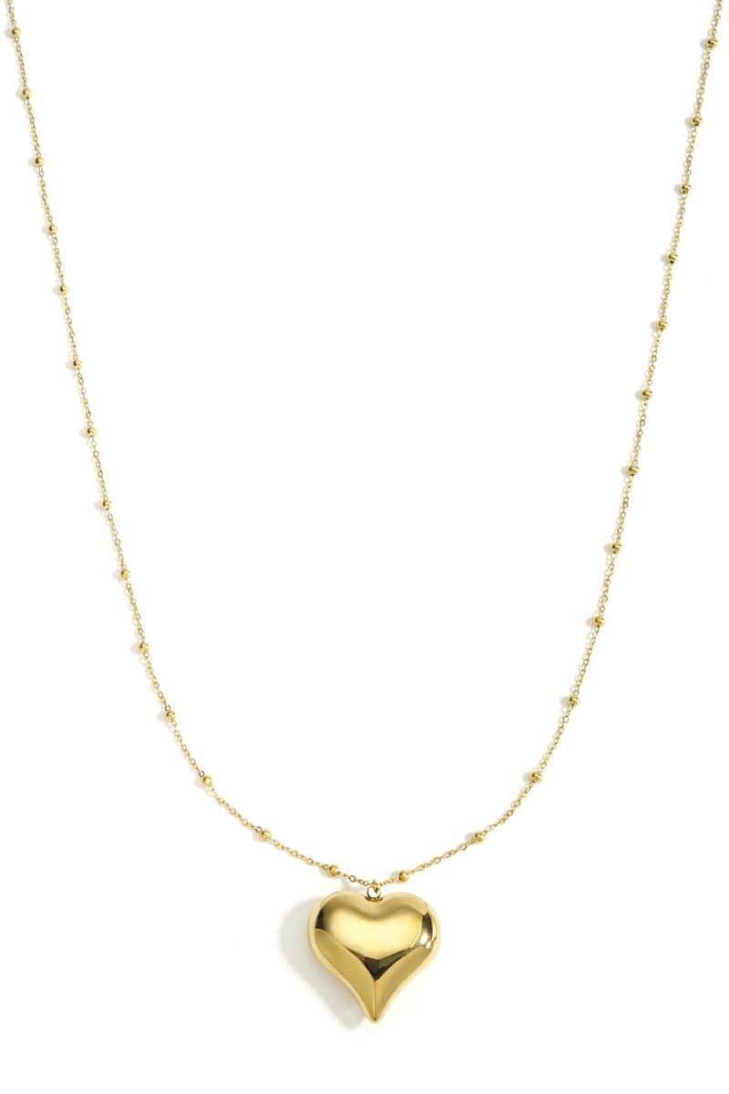 Stainless Steel Long Necklaces Heart Casual Daily Simple Series Women's jewelry