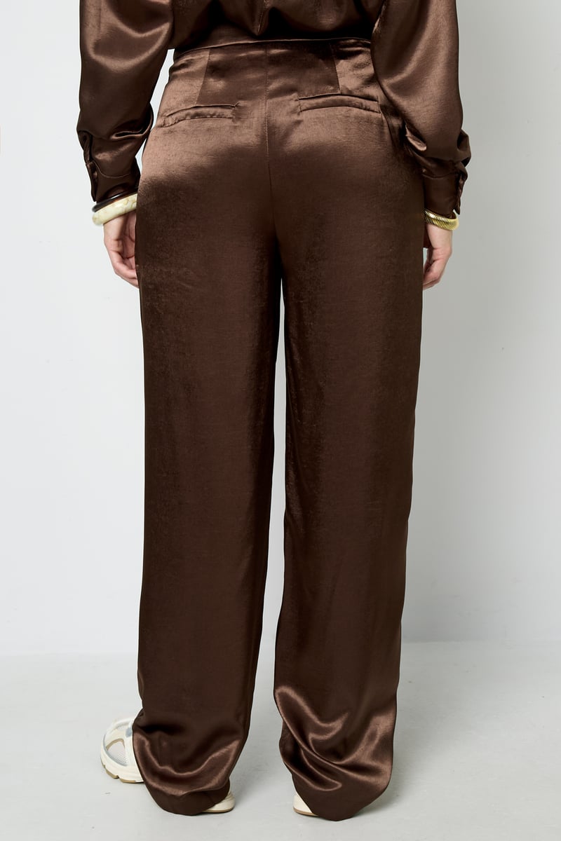 Silk Look Pants