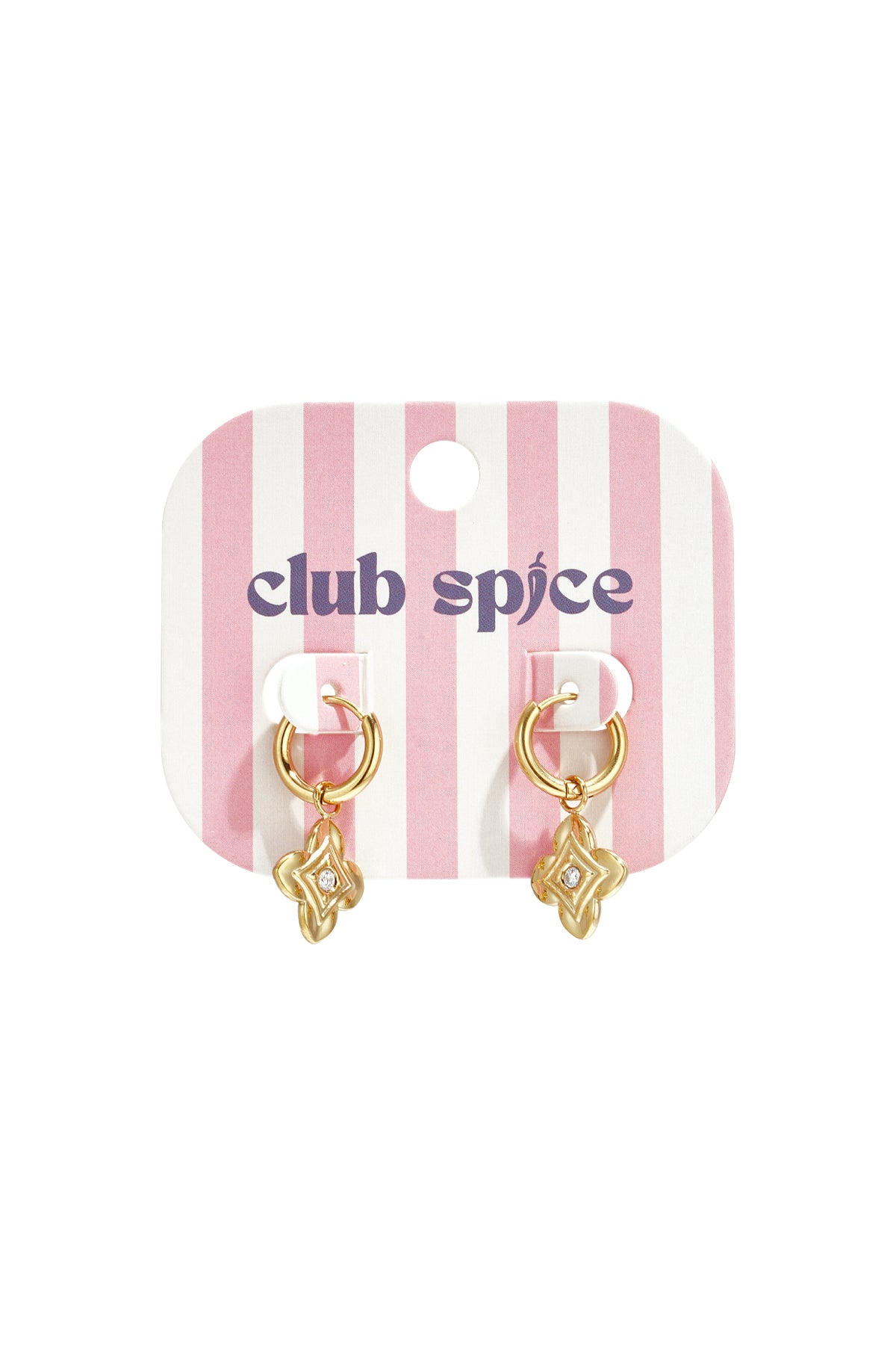 Stainless Steel Drop Earrings Flower Simple Daily Simple Series Women's jewelry