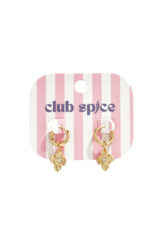 Stainless Steel Drop Earrings Flower Simple Daily Simple Series Women's jewelry